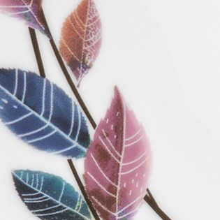 colorImage