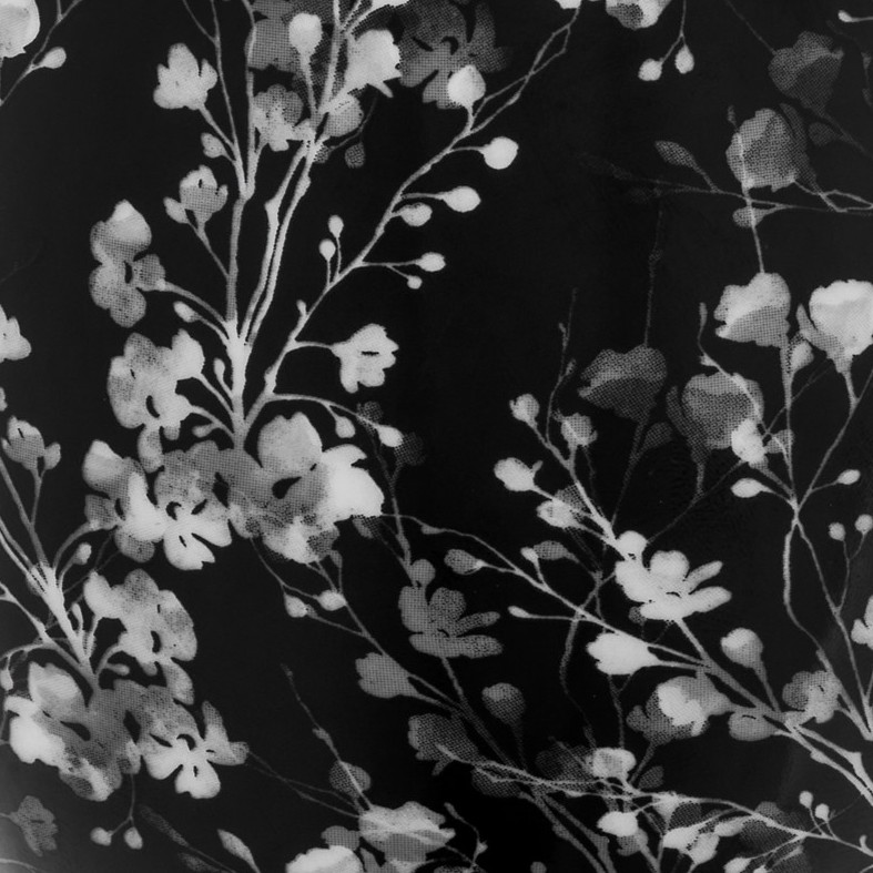 colorImage