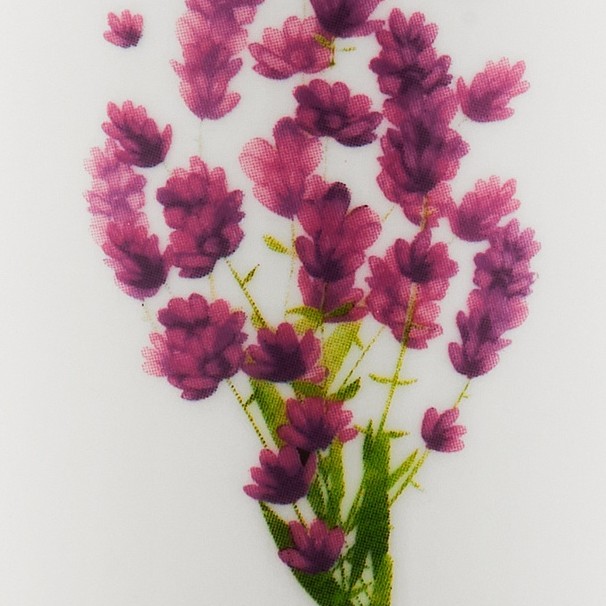 colorImage
