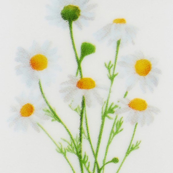 colorImage