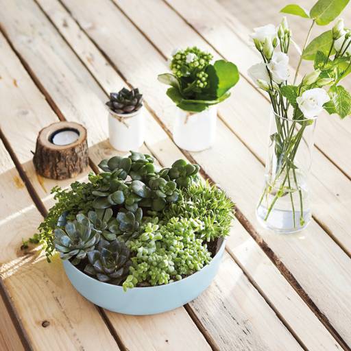 https://nowy.zarzadzanie-dajar.pl/media/catalog/product/0/6/06531_4_.jpg
