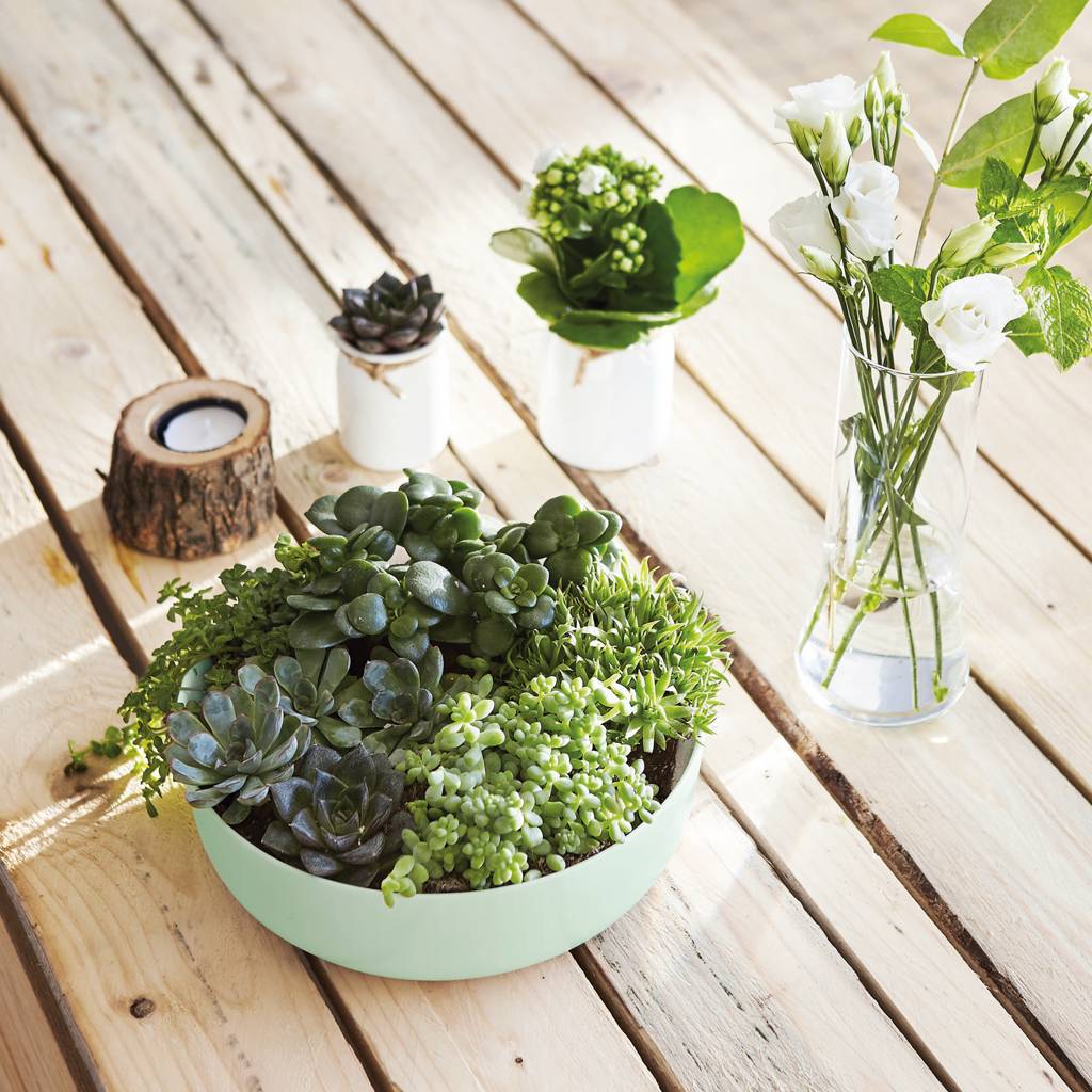 https://nowy.zarzadzanie-dajar.pl/media/catalog/product/0/6/06540_3_.jpg