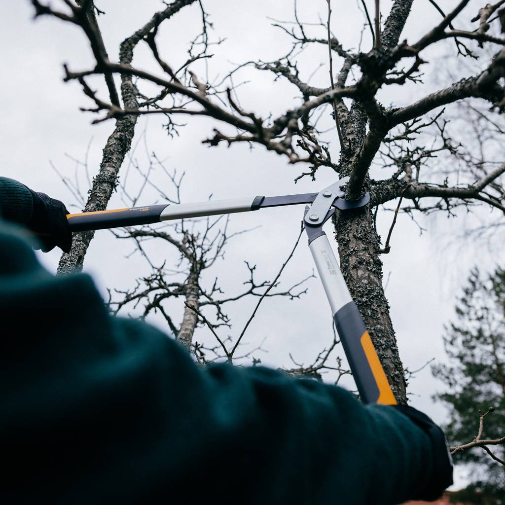 https://nowy.zarzadzanie-dajar.pl/media/catalog/product/1/0/1020187_fiskars_powergearx_lopper_bypass_m_action_02_1x1.jpg