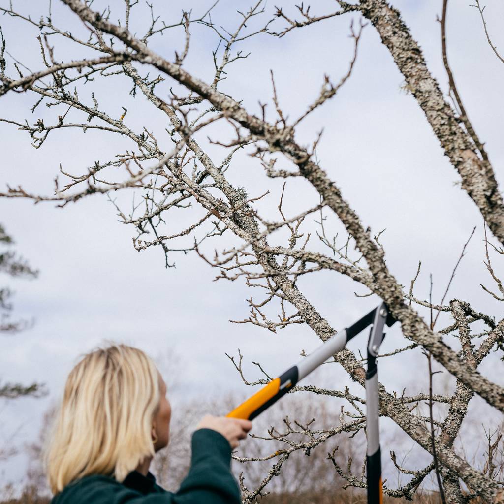 https://nowy.zarzadzanie-dajar.pl/media/catalog/product/1/0/1020187_fiskars_powergearx_lopper_bypass_m_action_04_1x1.jpg