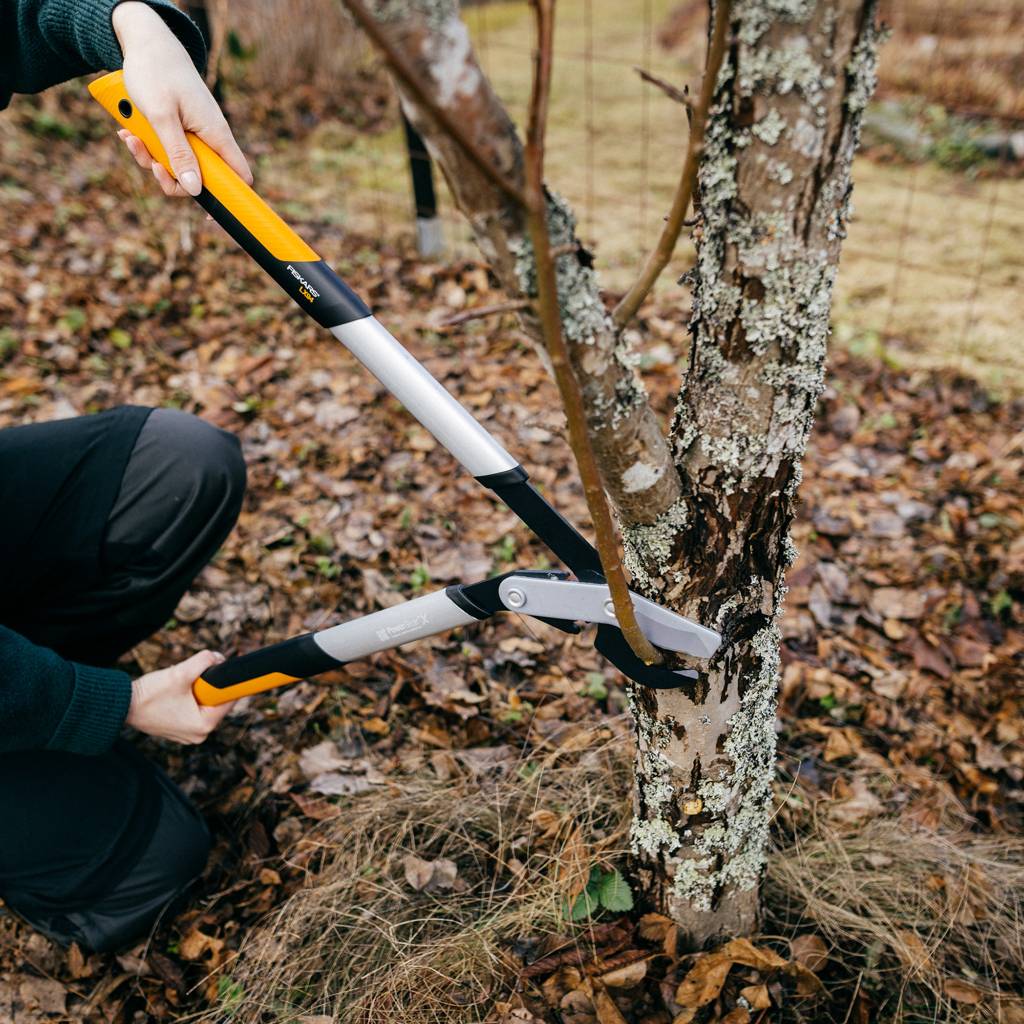https://nowy.zarzadzanie-dajar.pl/media/catalog/product/1/0/1020187_fiskars_powergearx_lopper_bypass_m_action_05_1x1.jpg