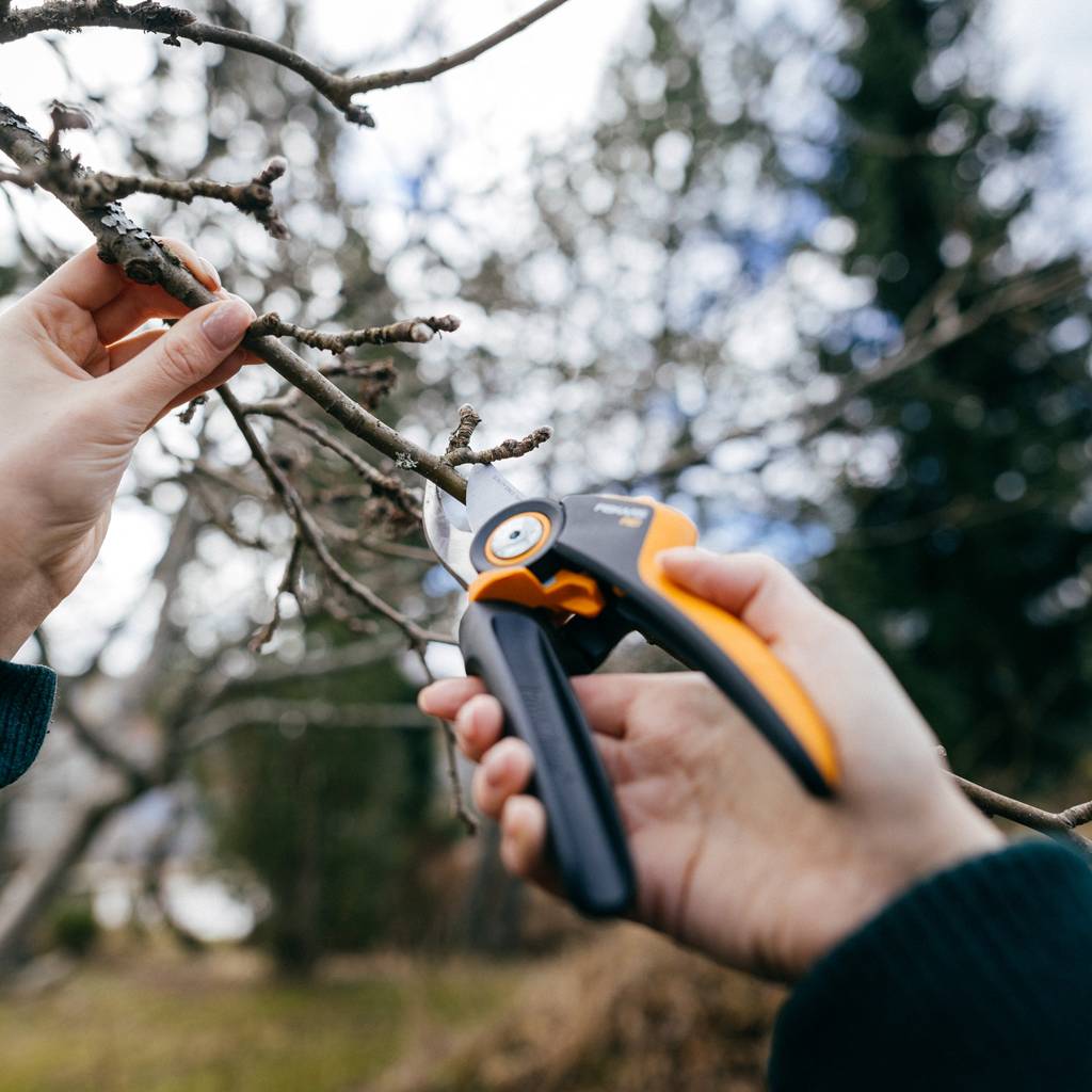 https://nowy.zarzadzanie-dajar.pl/media/catalog/product/1/0/1057173_fiskars_x-series_pruner_m_bypass_action_03_1x1.jpg