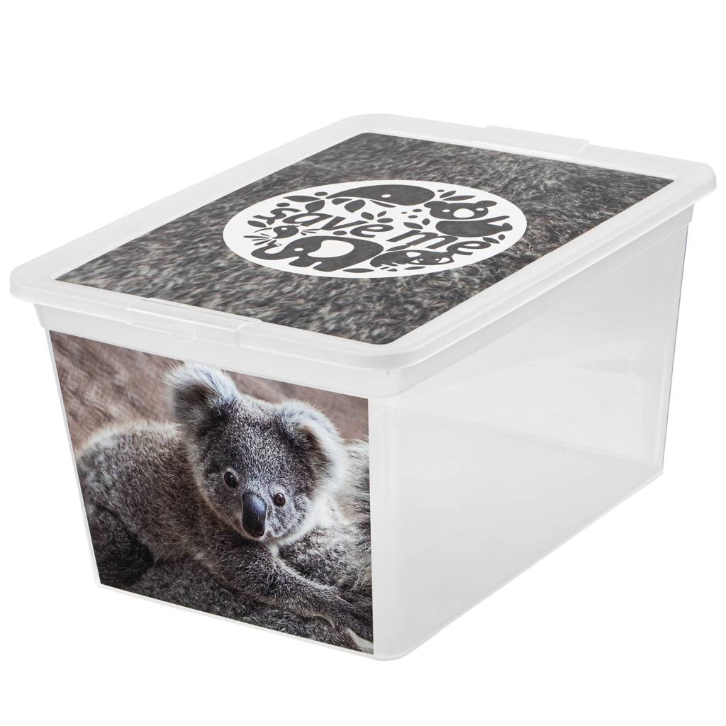 https://nowy.zarzadzanie-dajar.pl/media/catalog/product/1/2/123161_z.jpg