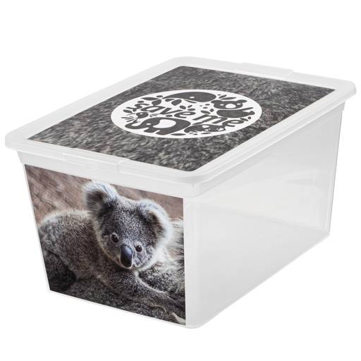 https://nowy.zarzadzanie-dajar.pl/media/catalog/product/1/2/123161_z.jpg