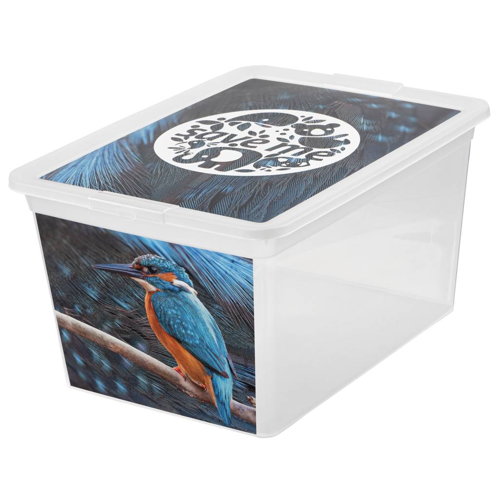 https://nowy.zarzadzanie-dajar.pl/media/catalog/product/1/2/123162_z.jpg