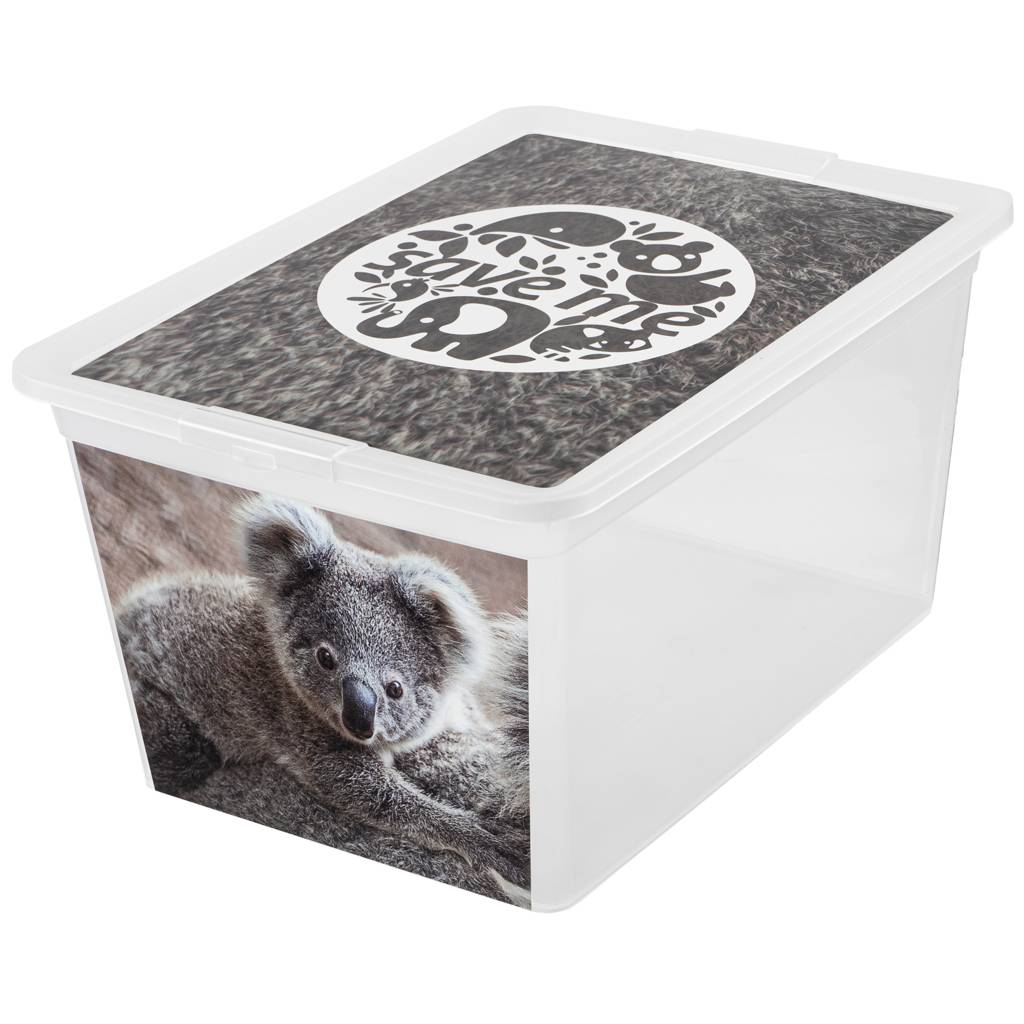 https://nowy.zarzadzanie-dajar.pl/media/catalog/product/1/2/123164_z.jpg