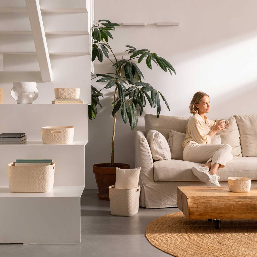 https://nowy.zarzadzanie-dajar.pl/media/catalog/product/1/2/123621_123625_123629_123633_123637_softex_basket_8__2.jpg