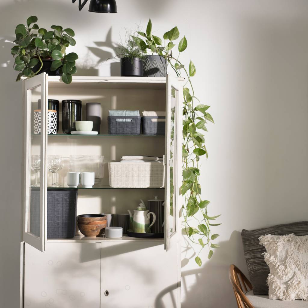 https://nowy.zarzadzanie-dajar.pl/media/catalog/product/3/2/3253921906020_01904_01905-885_01906_1_.jpg