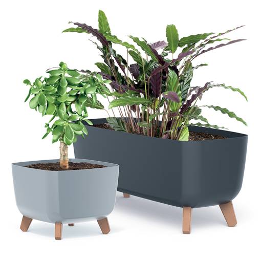 https://nowy.zarzadzanie-dajar.pl/media/catalog/product/3/4/344038_3_.jpg