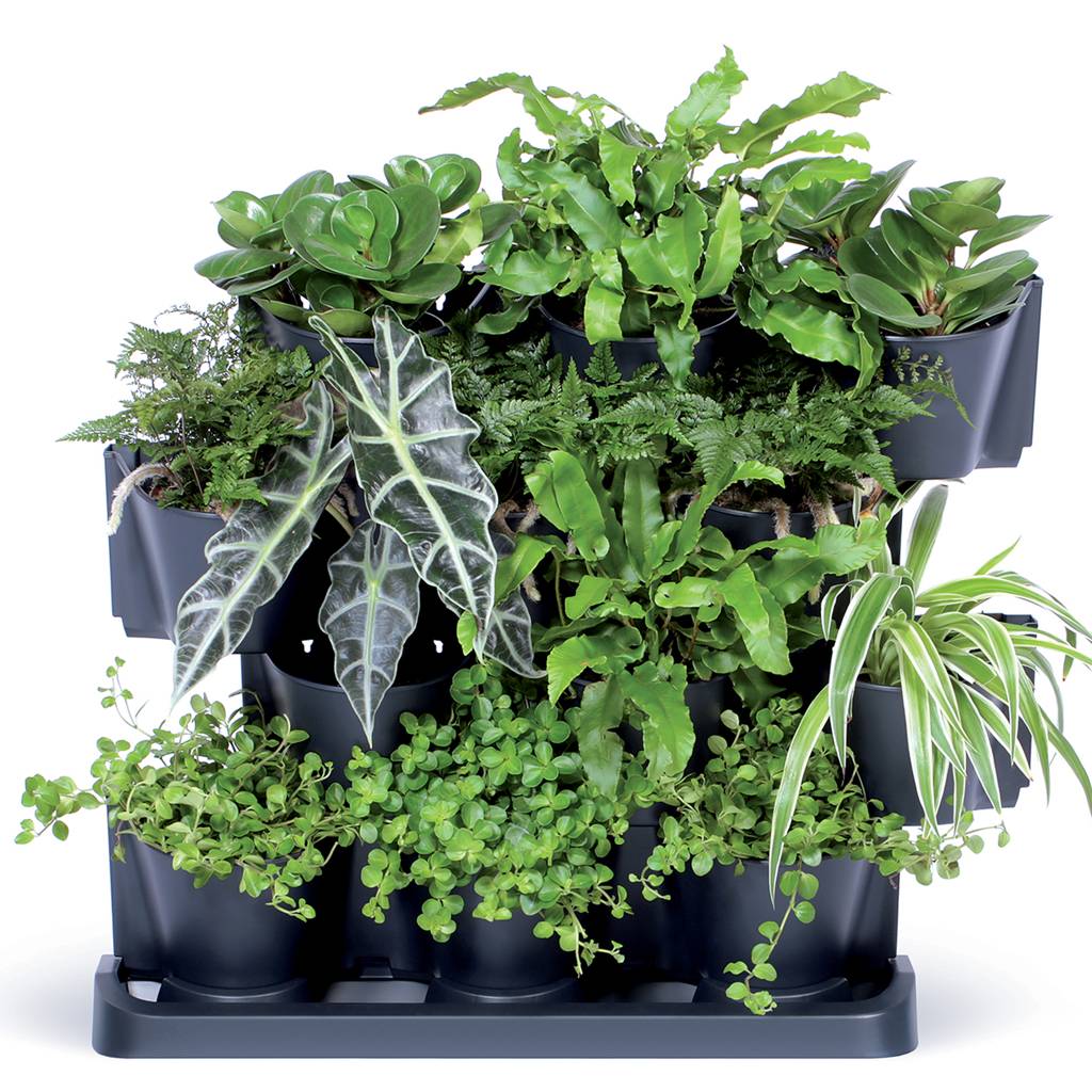 https://nowy.zarzadzanie-dajar.pl/media/catalog/product/3/4/344242_8_.jpg