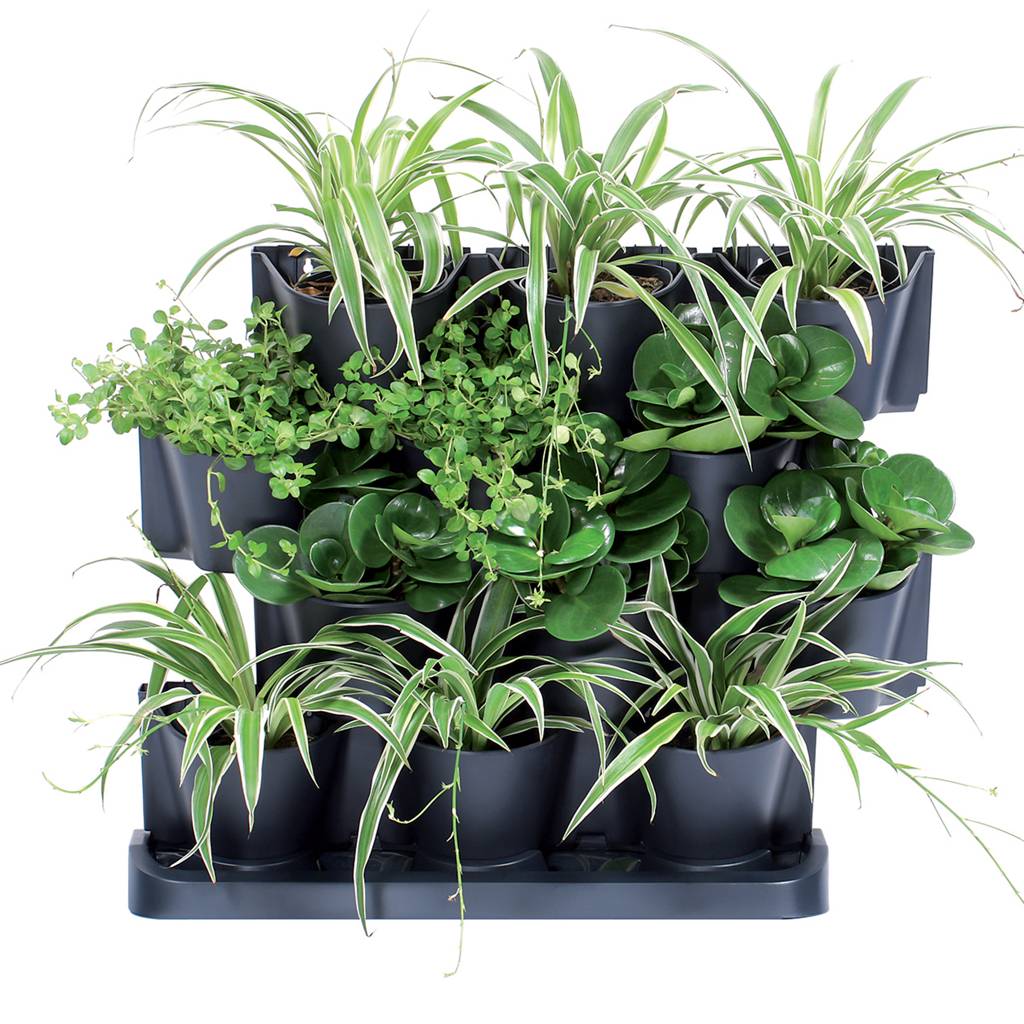 https://nowy.zarzadzanie-dajar.pl/media/catalog/product/3/4/344242_9_.jpg