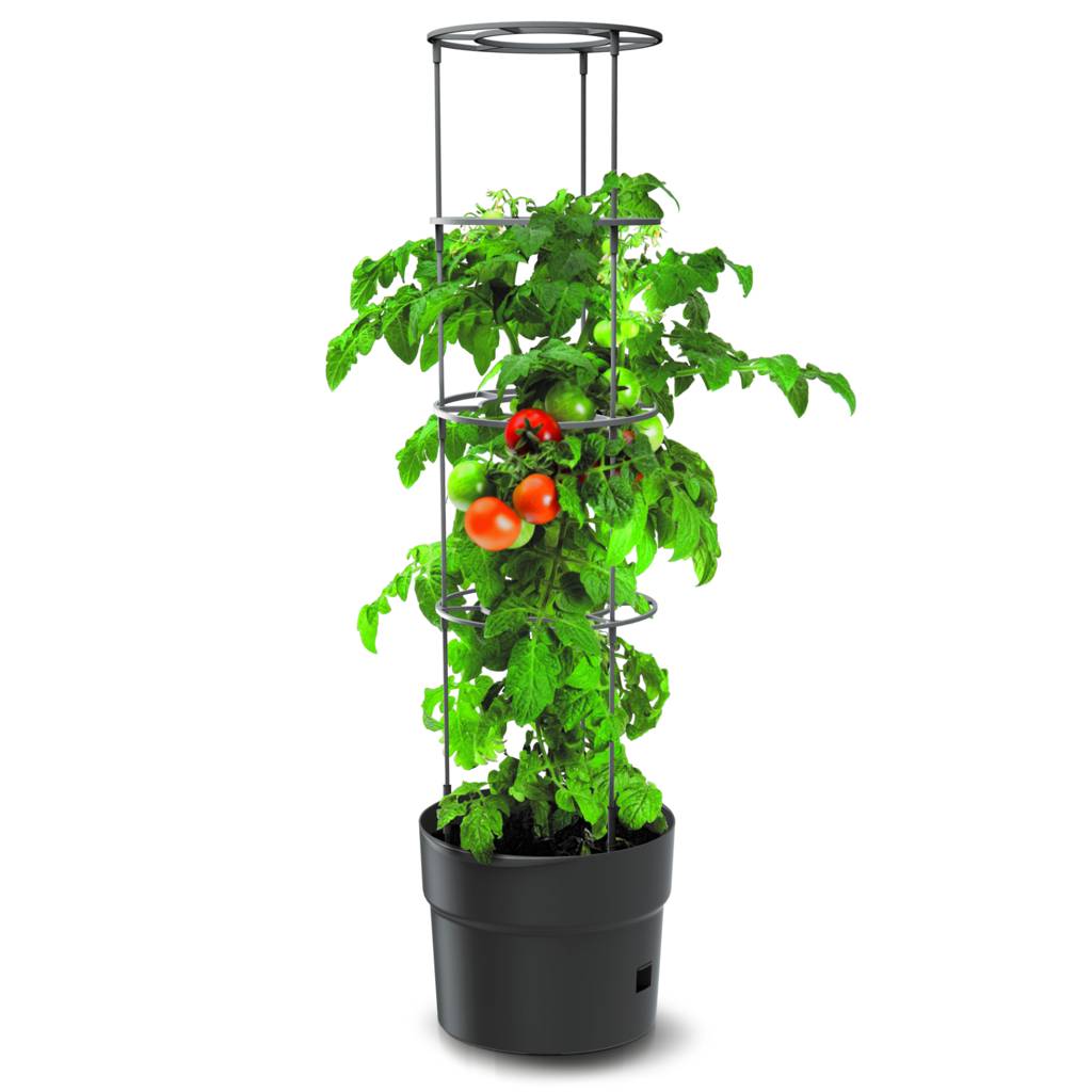 https://nowy.zarzadzanie-dajar.pl/media/catalog/product/4/0/409941_1_.jpg