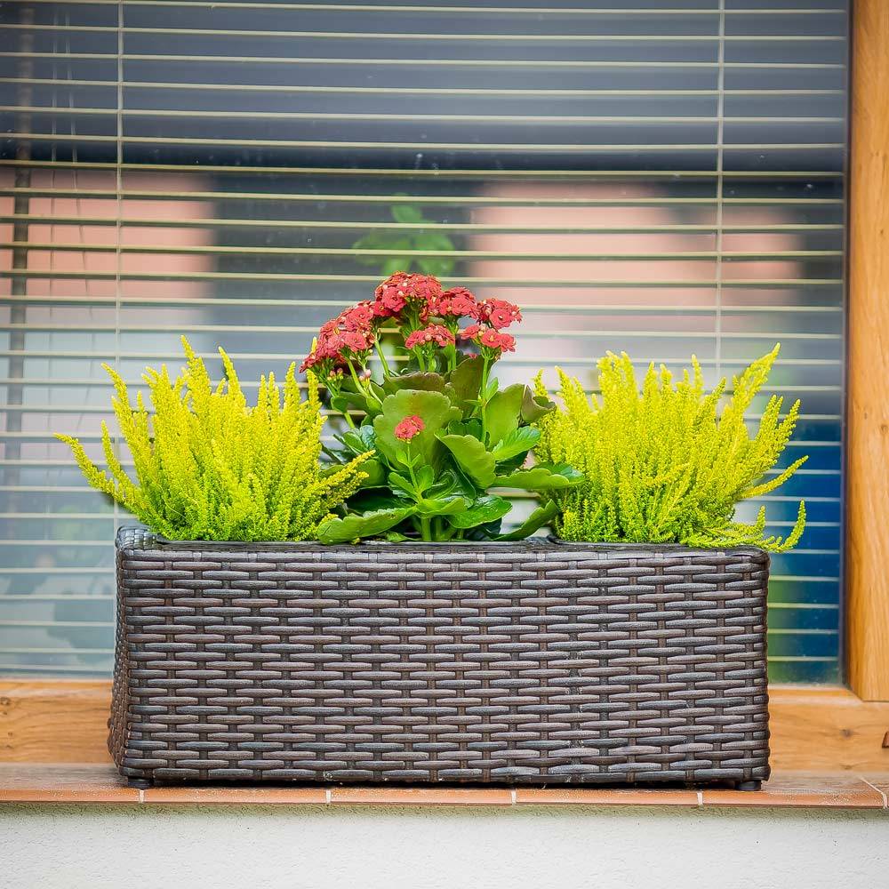 https://nowy.zarzadzanie-dajar.pl/media/catalog/product/4/7/47392/47392-01.jpg