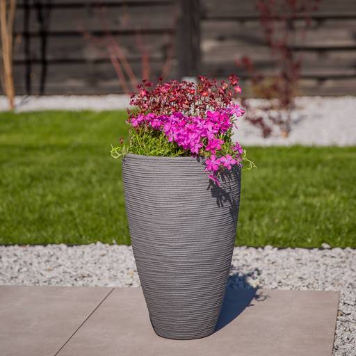 https://dajarmediaprod.blob.core.windows.net/media-patio/thumbnails/products/577a0625-edit_510088da_thumbnail_4096.jpg