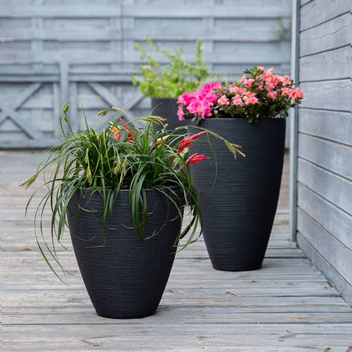 https://dajarmediaprod.blob.core.windows.net/media-patio/thumbnails/products/577a5540-edit_9d5c5fd6_thumbnail_4096.jpg