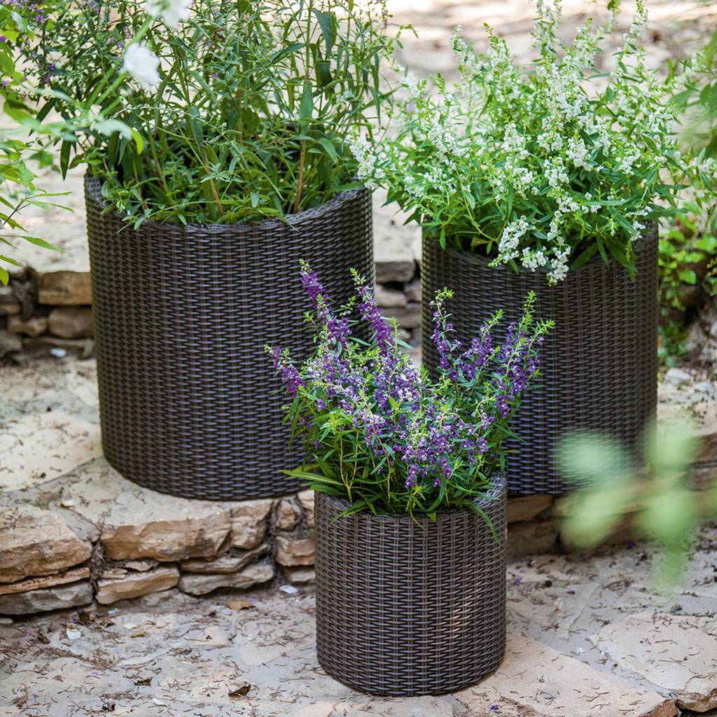 https://nowy.zarzadzanie-dajar.pl/media/catalog/product/7/2/7290103664787_17197934_cylinder_planters_set_s_m_l_6994_rgb.jpg
