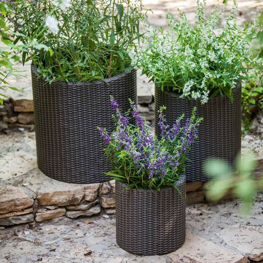 https://nowy.zarzadzanie-dajar.pl/media/catalog/product/7/2/7290103664787_17197934_cylinder_planters_set_s_m_l_6994_rgb.jpg