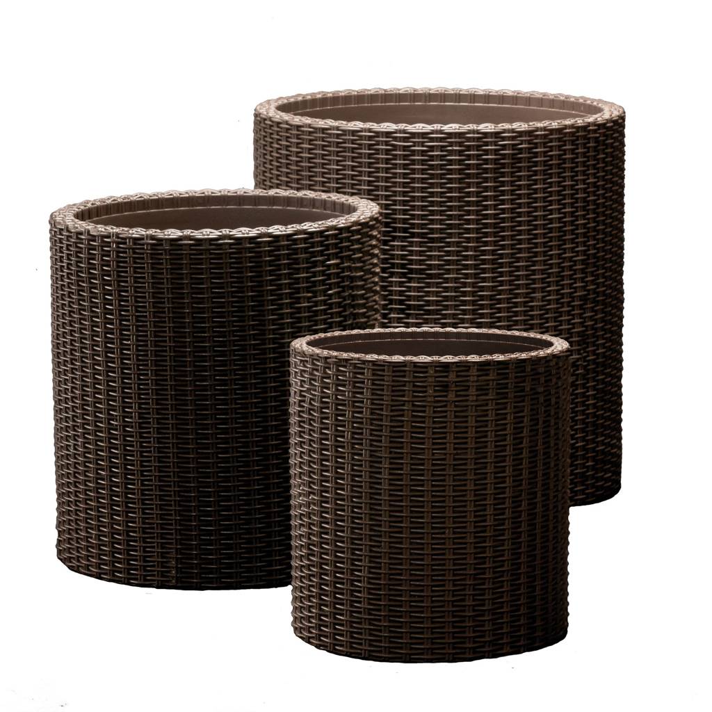 https://nowy.zarzadzanie-dajar.pl/media/catalog/product/7/2/7290103664787_cylinder.p.3_size_set.590.jpg