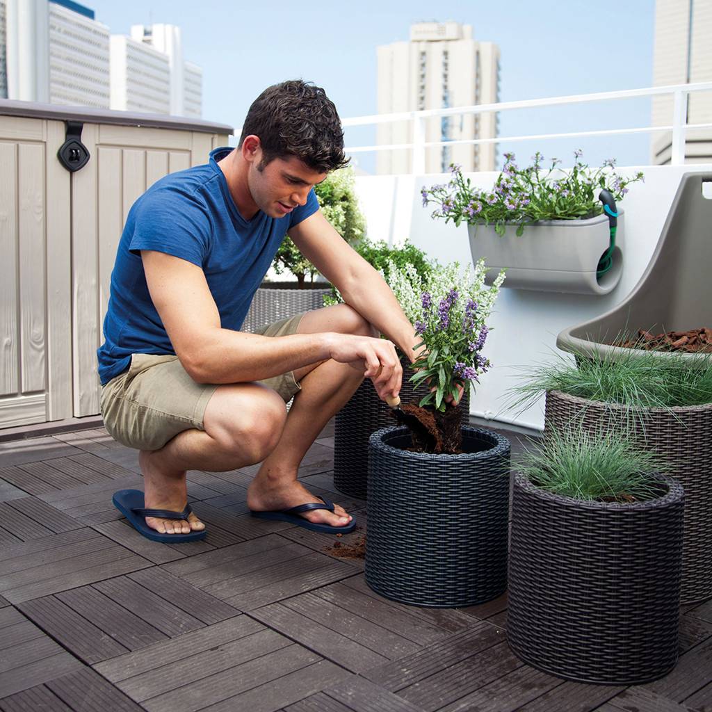 https://nowy.zarzadzanie-dajar.pl/media/catalog/product/7/2/7290106920453_7290103664787_17197934_cylinder_planters_set_s_m_l_6157_rgb.jpg