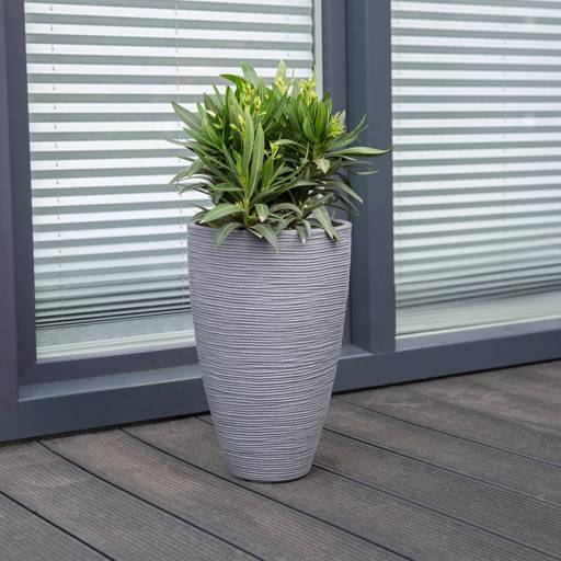https://dajarmediaprod.blob.core.windows.net/media-patio/thumbnails/products/90229_558ffa6c_thumbnail_4096.jpg