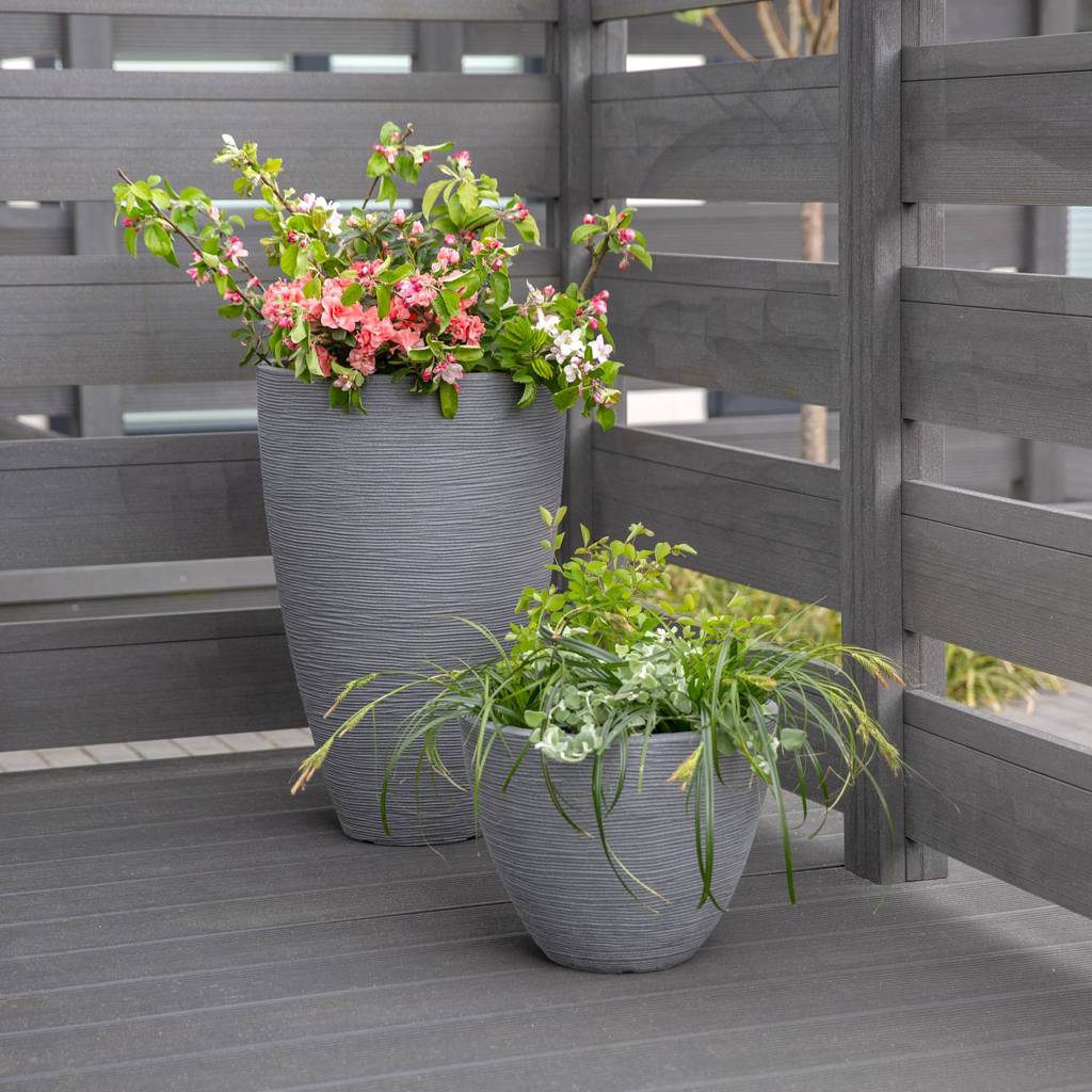 https://dajarmediaprod.blob.core.windows.net/media-patio/thumbnails/products/90239_90233_5d500d56_thumbnail_4096.jpg