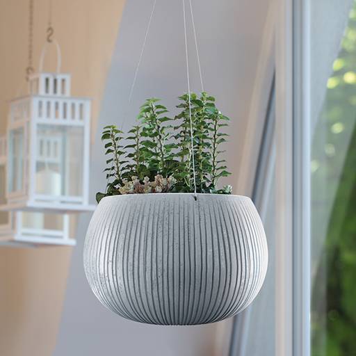 https://nowy.zarzadzanie-dajar.pl/media/catalog/product/b/e/beton_bowl_wiszaca_aranz_02_m.jpg