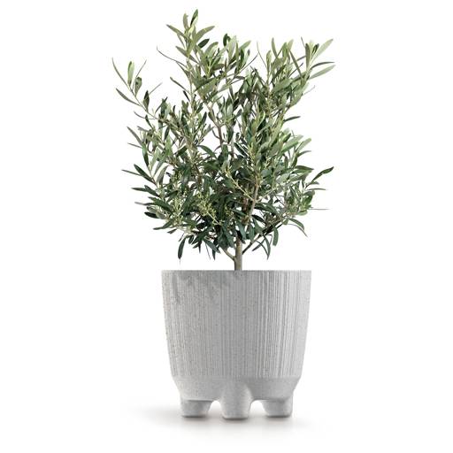 https://nowy.zarzadzanie-dajar.pl/media/catalog/product/d/r/drf200nw_s449w_aranz_2.jpg