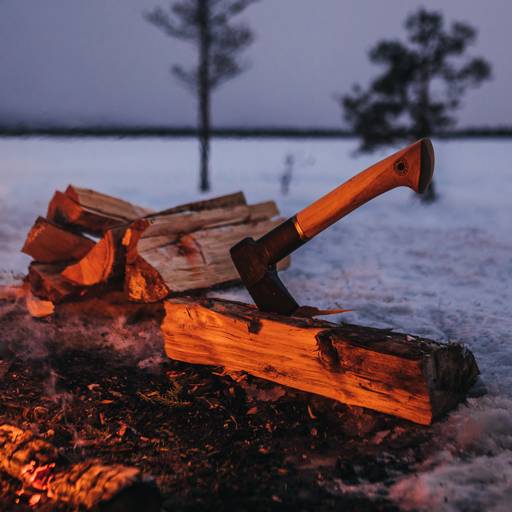 https://nowy.zarzadzanie-dajar.pl/media/catalog/product/f/i/fiskars_environmental_norden_axes_n17_winter_1051142_2.jpg