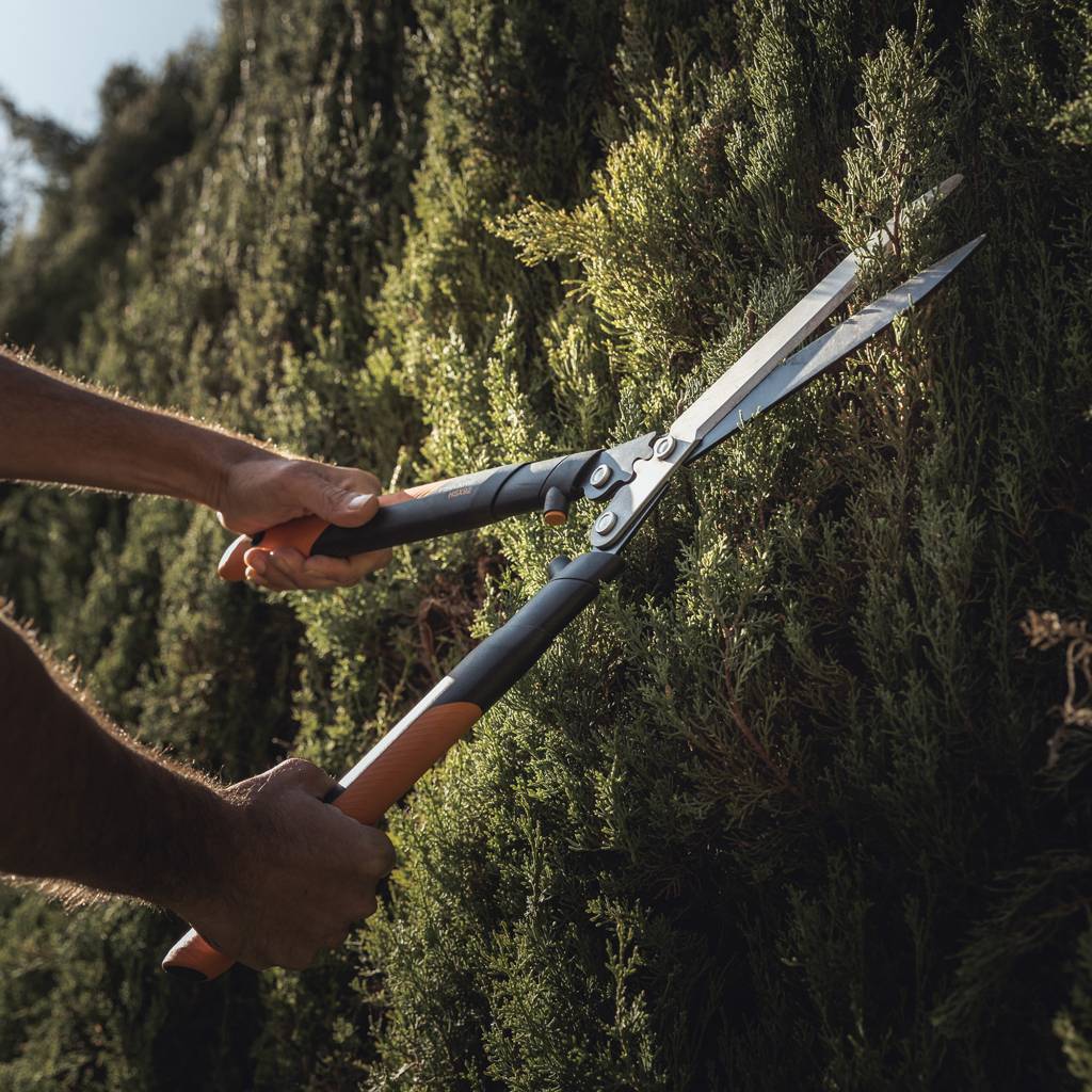 https://nowy.zarzadzanie-dajar.pl/media/catalog/product/f/i/fiskars_garden_action_pgx_hedge_shear_hsx92_1x1.jpg