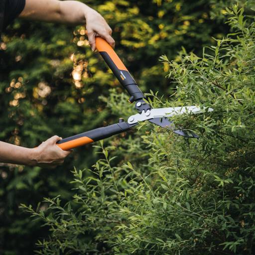 https://nowy.zarzadzanie-dajar.pl/media/catalog/product/f/i/fiskars_garden_action_powergearx_hedge_shear_hsx92_1023631_1x1.jpg