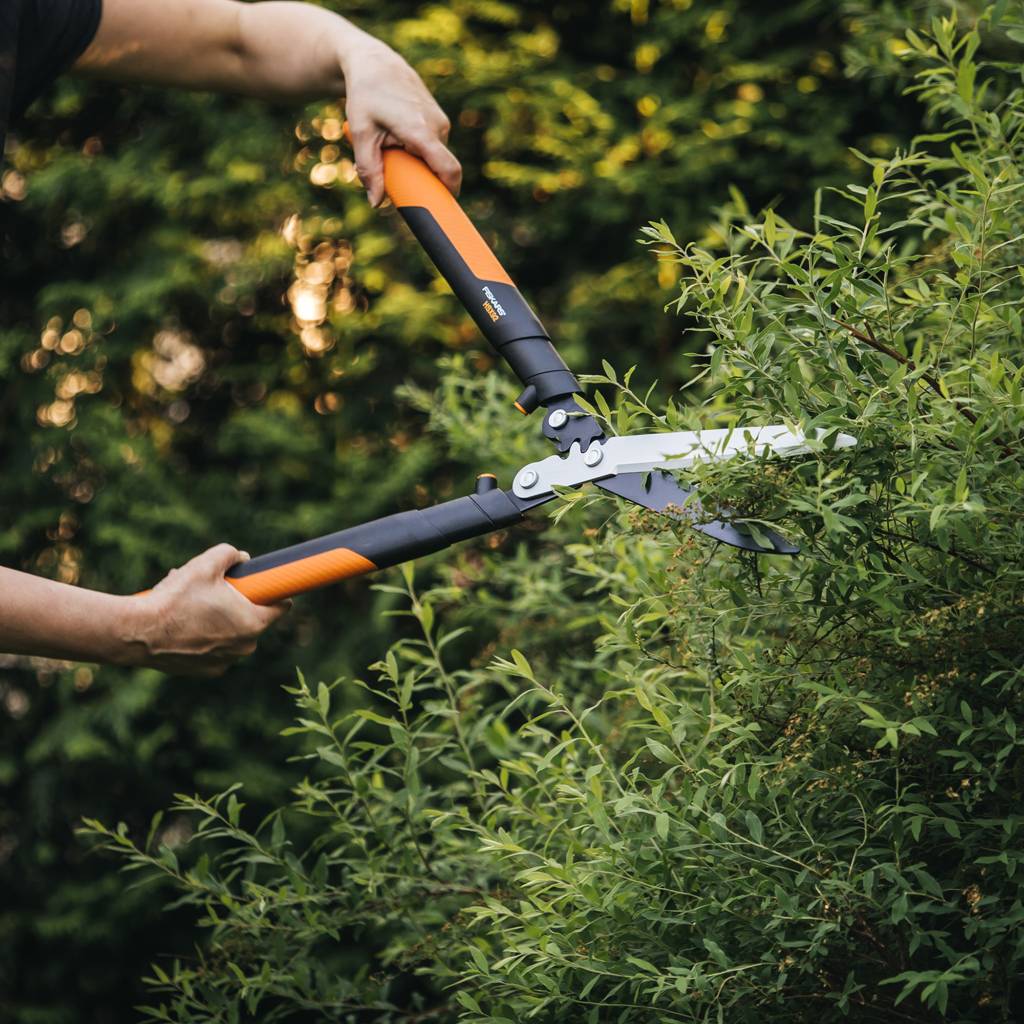 https://nowy.zarzadzanie-dajar.pl/media/catalog/product/f/i/fiskars_garden_action_powergearx_hedge_shear_hsx92_1023631_1x1.jpg