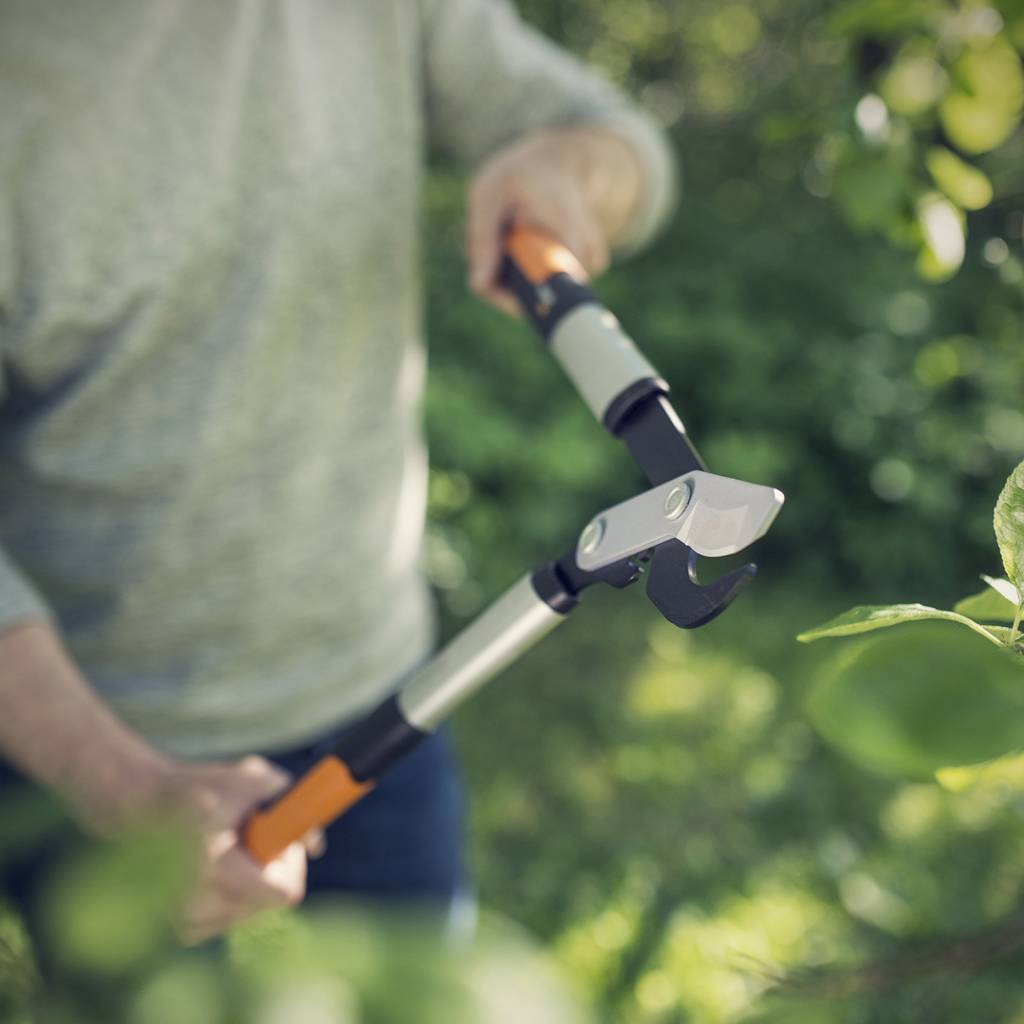 https://nowy.zarzadzanie-dajar.pl/media/catalog/product/f/i/fiskars_garden_action_powergearx_lopper_m_lx94_1020187_2_.jpg