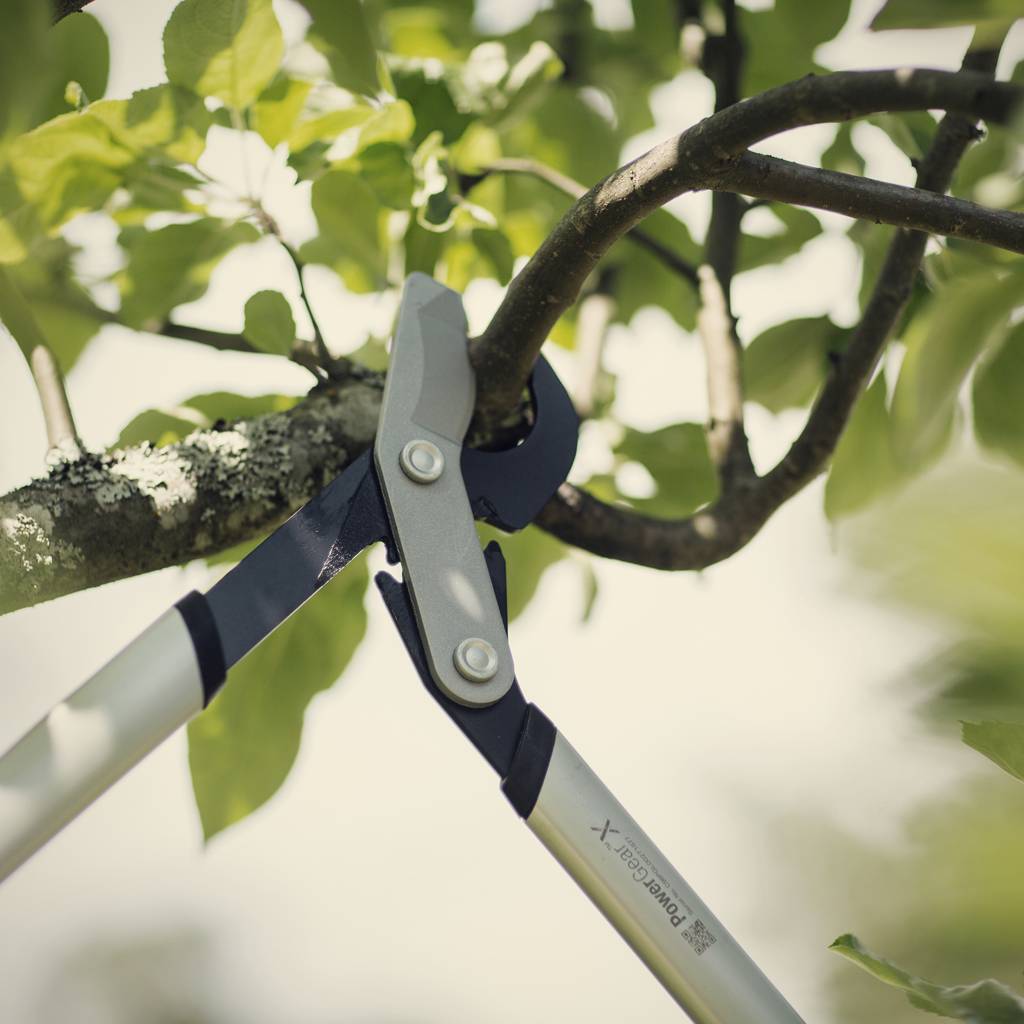 https://nowy.zarzadzanie-dajar.pl/media/catalog/product/f/i/fiskars_garden_action_powergearx_lopper_m_lx94_1020187_4_.jpg