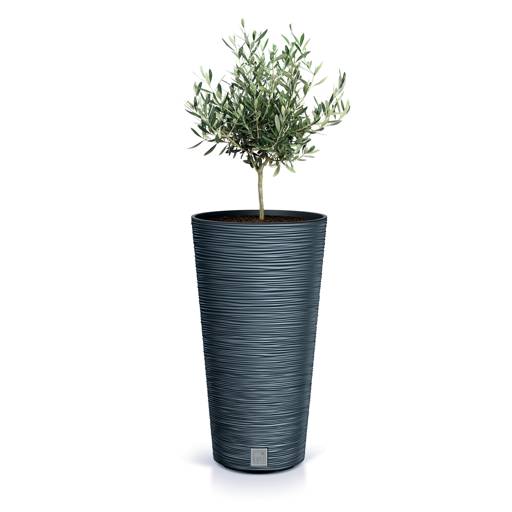 https://nowy.zarzadzanie-dajar.pl/media/catalog/product/f/u/furu_round_slim_dfrh_s433_roslina.jpg
