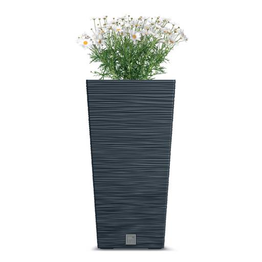 https://nowy.zarzadzanie-dajar.pl/media/catalog/product/f/u/furu_square_dfsh400_s433_roslina_01_1.jpg
