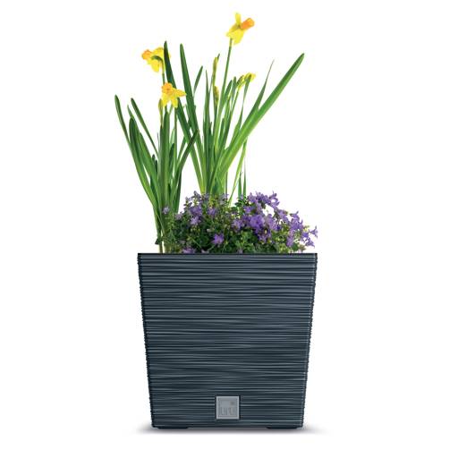 https://nowy.zarzadzanie-dajar.pl/media/catalog/product/f/u/furu_square_low_dfs_s433_roslina_02.jpg