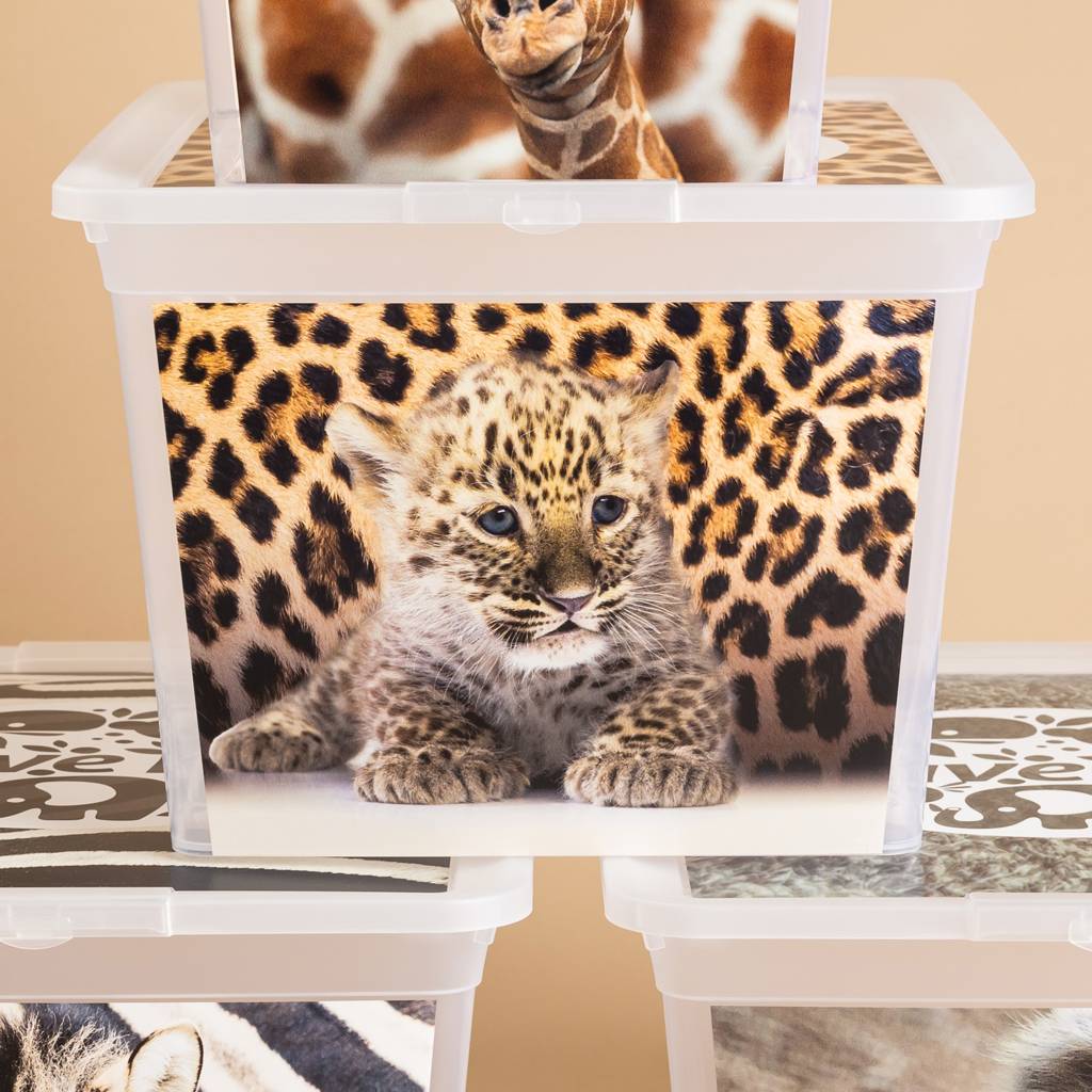 https://nowy.zarzadzanie-dajar.pl/media/catalog/product/g/_/g_33a0234_4.jpg