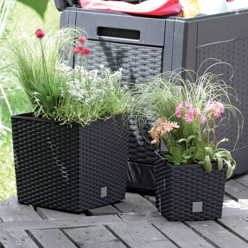 https://nowy.zarzadzanie-dajar.pl/media/catalog/product/r/a/rato_low_drtsl_s433_aranz.jpg