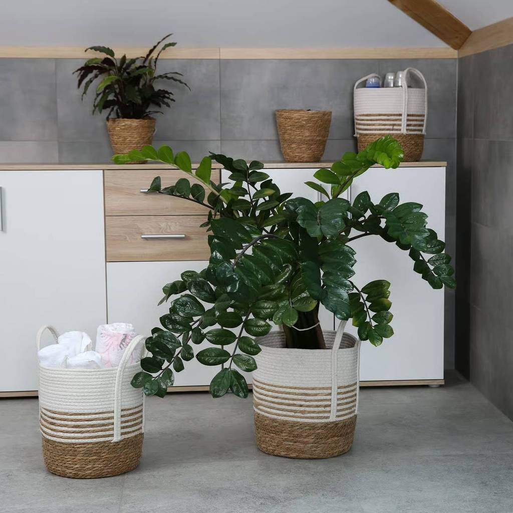 https://api.ambitionhome.com/thumbnail/UHJvZHVjdE1lZGlhOjQ3ODk=/4096/