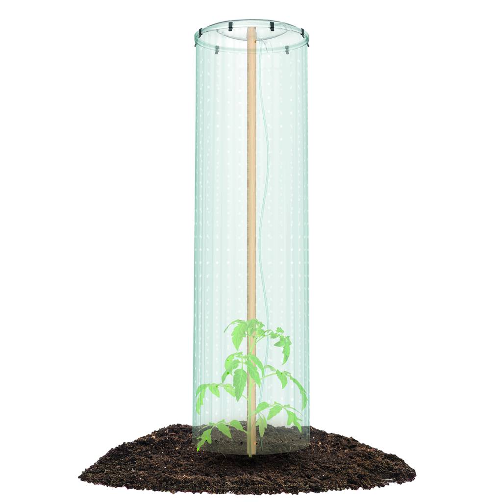 https://nowy.zarzadzanie-dajar.pl/media/catalog/product/t/o/tomato_grower_cap_ipoc400_roslina_01.jpg
