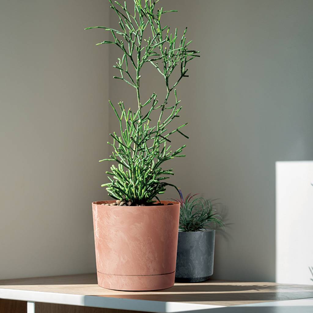 https://nowy.zarzadzanie-dajar.pl/media/catalog/product/t/u/tubo_p_beton_effect_dpope_r624_aranz_01_m_1_.jpg