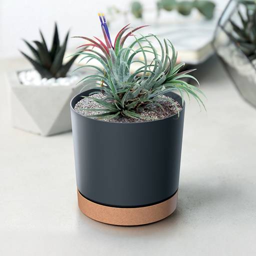 https://nowy.zarzadzanie-dajar.pl/media/catalog/product/t/u/tubo_pm_dpod_aranz_01_s433_m.jpg