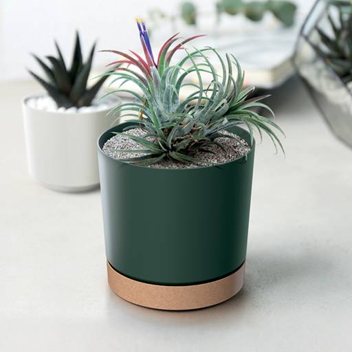 https://nowy.zarzadzanie-dajar.pl/media/catalog/product/t/u/tubo_pm_dpod_aranz_01_werde_m.jpg